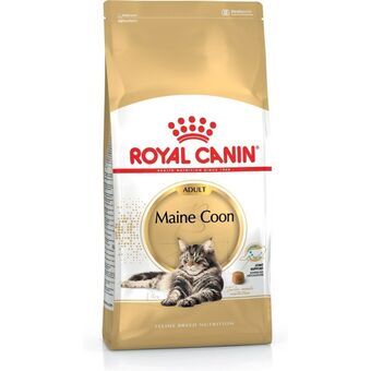 Kattemad Royal Canin Voksen 4 Kg Kylling