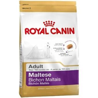 Foder Royal Canin Voksen Majs Fugle 500 g