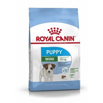 Foder Royal Canin Mini Puppy Barn/Junior Fugle 4 Kg