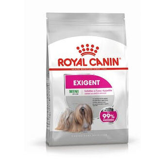 Foder Royal Canin Mini Exigent Voksen Fugle 3 Kg