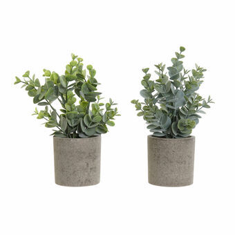 Dekorativ plante DKD Home Decor Grøn Harpiks Polyetylen (17 x 17 x 24 cm) (2 pcs)