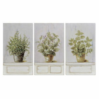 Maleri DKD Home Decor Urtepotte (20 x 3,5 x 35 cm) (3 enheder)