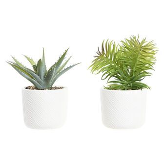 Dekorativ plante DKD Home Decor Hvid Grøn Harpiks PE (10 x 10 x 20,5 cm) (2 enheder) (3 enheder)