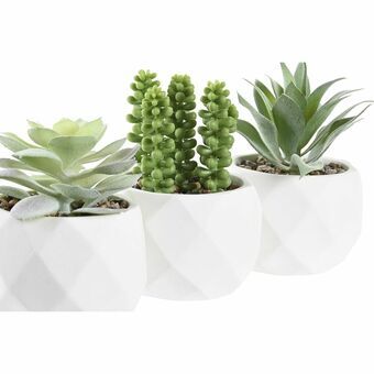 Dekorativ plante DKD Home Decor Hvid Grøn Harpiks PE (10 x 10 x 14 cm) (3 enheder)