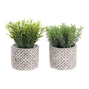 Dekorativ plante DKD Home Decor Cement PE (2 enheder) (12 x 12 x 18 cm)