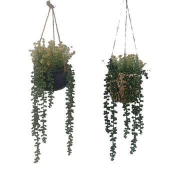 Dekorativ plante DKD Home Decor Halskæde Keramik PE (15 x 15 x 70 cm) (2 enheder)