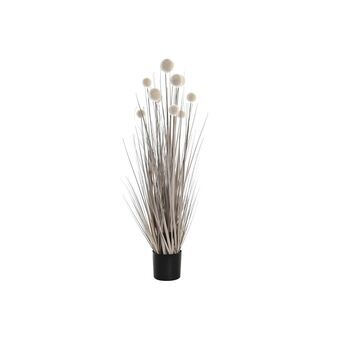 Dekorativ plante DKD Home Decor Pomponer (25 x 25 x 90 cm)