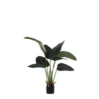 Dekorativ plante Alexandra House Living Plastik Rejsendes træ 13 x 22 x 112 cm