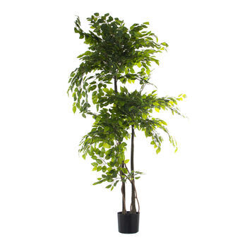 Dekorativ plante Alexandra House Living Plastik Figen 18 x 22 x 162 cm