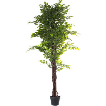 Dekorativ plante Alexandra House Living Plastik Figen 16 x 16 x 162 cm