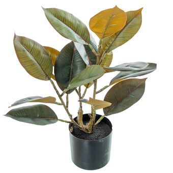 Dekorativ plante Alexandra House Living Plastik Hrast 50 cm