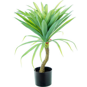 Dekorativ plante Alexandra House Living Plastik Yucca 70 cm