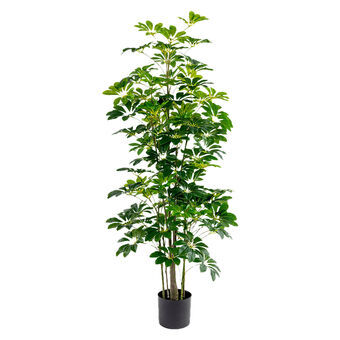 Dekorativ plante Alexandra House Living Plastik Schefflera 155 cm