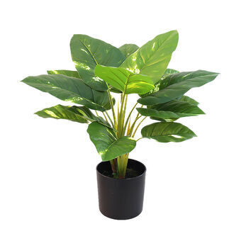 Dekorativ plante Alexandra House Living Plastik 50 cm