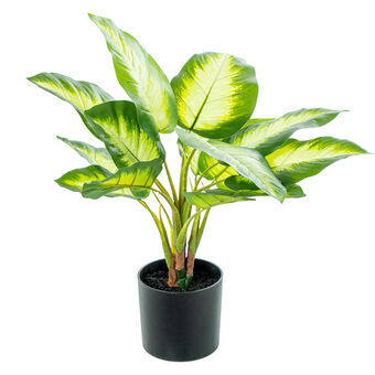 Dekorativ plante Alexandra House Living Plastik Aglaonema 50 cm