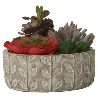 Dekorativ plante Alexandra House Living Plastik Sukkulent 20 x 21 x 18 cm