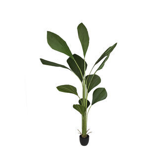 Dekorativ plante Romimex PVC Licuala 20 x 180 x 20 cm