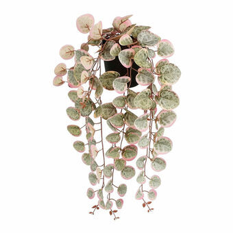 Dekorativ plante Mica Decorations Ceropegia Woodii 10 x 46 x 12 cm Kunstig Ledning til ophæng