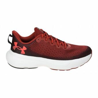 Løbesko til voksne Under Armour Infinite Brun