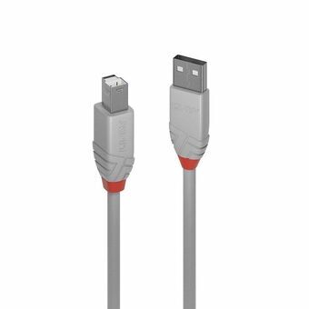 USB A til USB B-kabel LINDY 36682 Grå