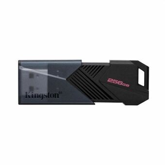 USB-stik Kingston DTXON/256GB 256 GB Sort