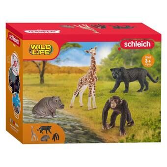 schleich WILD LIFE startsæt 72162