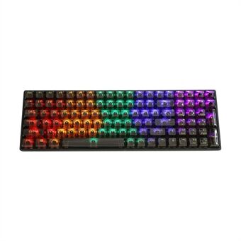 Y-FRUITFUL K10 100 taster Type-C kablet mekanisk tastatur med RGB lys, transparent sort+blå kontakt